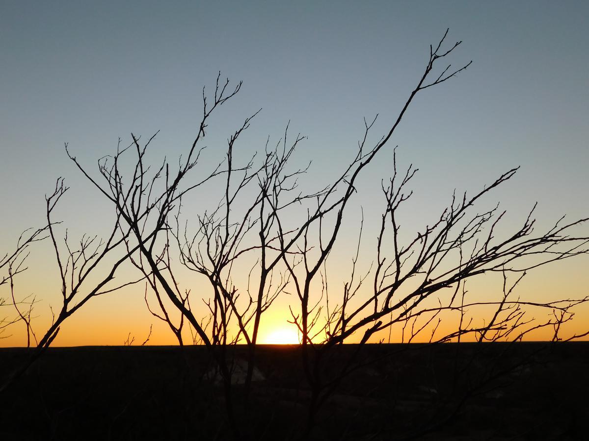 Opal Hotel, Motel, 3* Coober Pedy